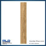Conifer Plus 2024 Vinyl Flooring